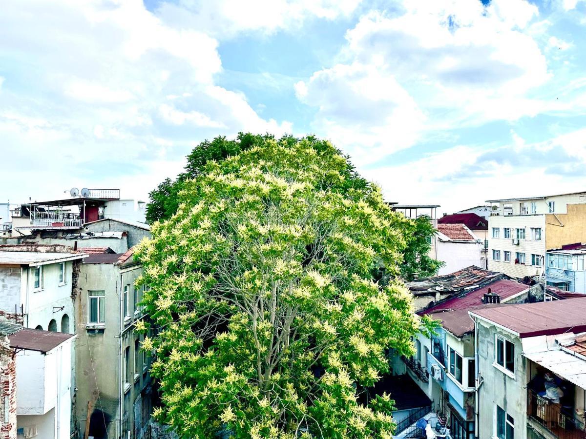 Aparthotel Alaca *